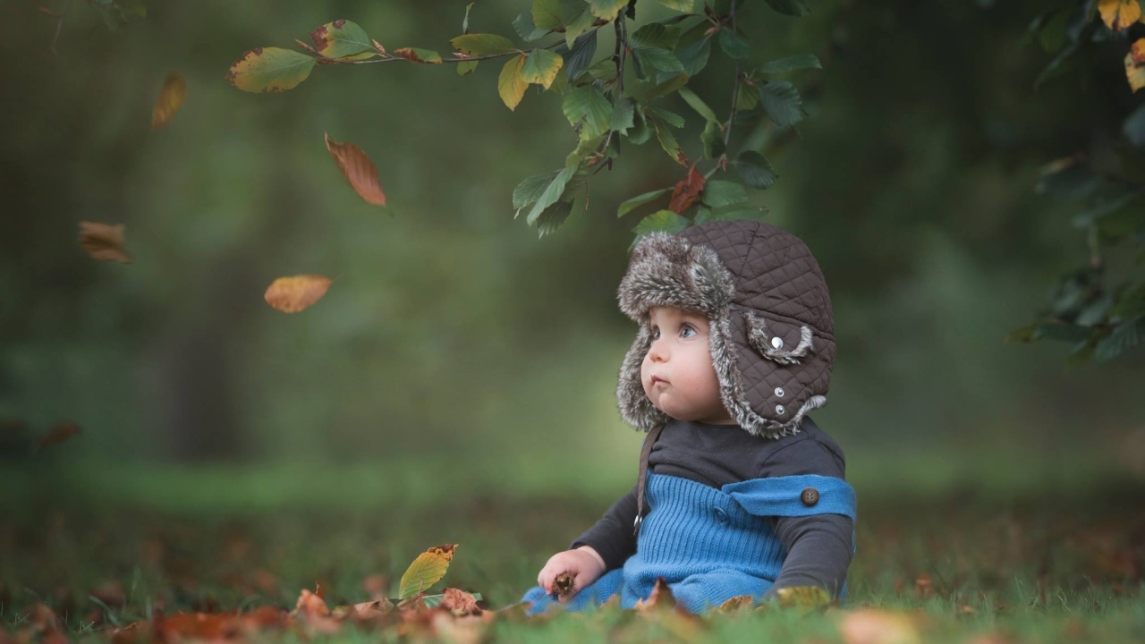 Карапуз в шапке сидит под деревом осенью