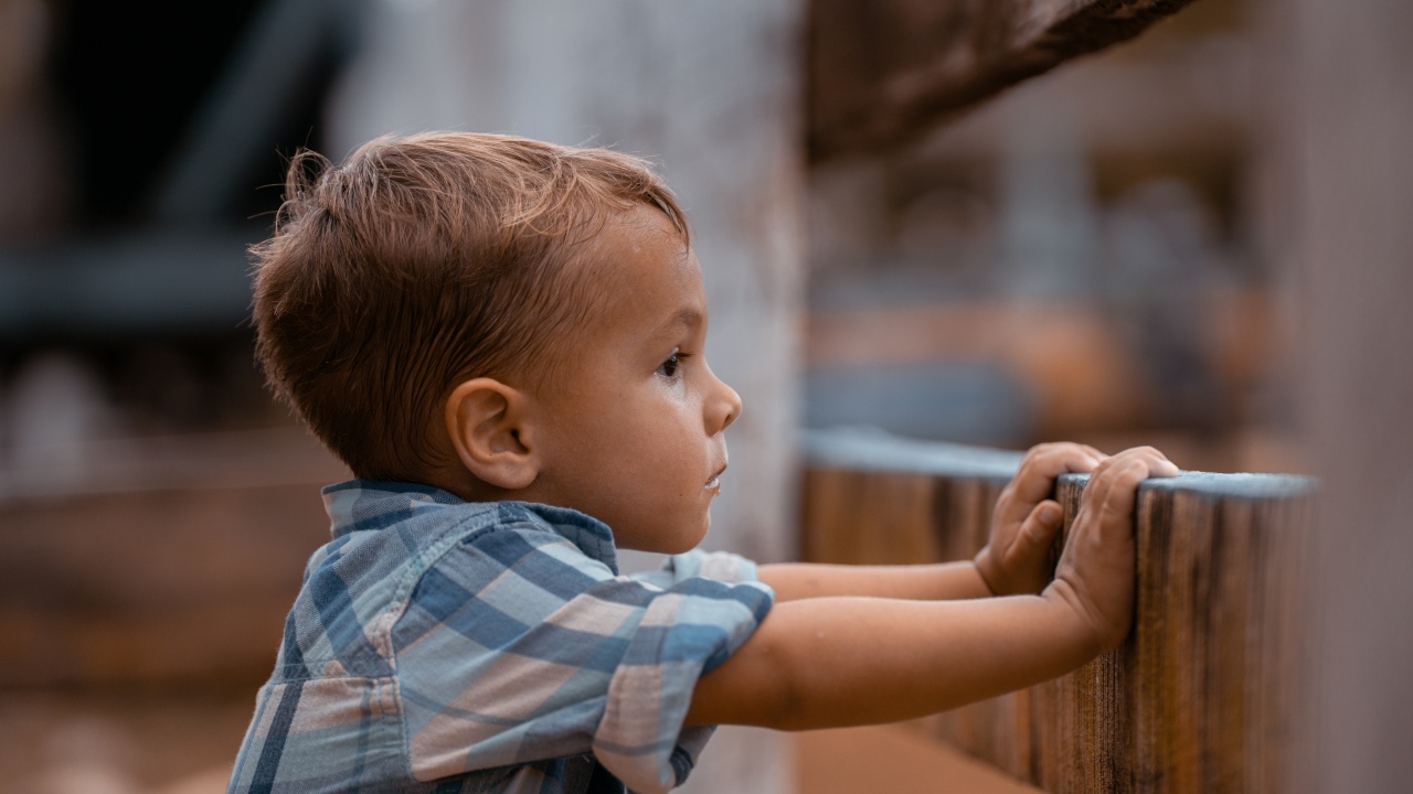 Любопытный мальчик в рубашке