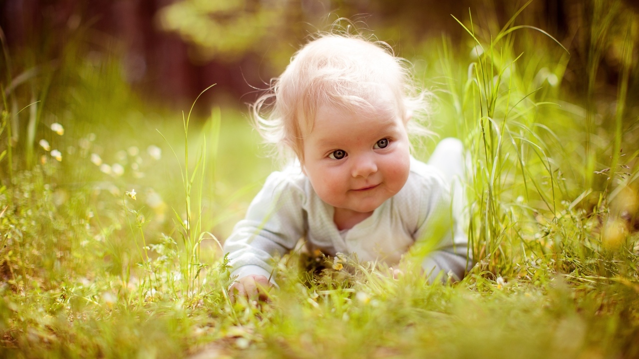Милый светловолосый ребенок в траве