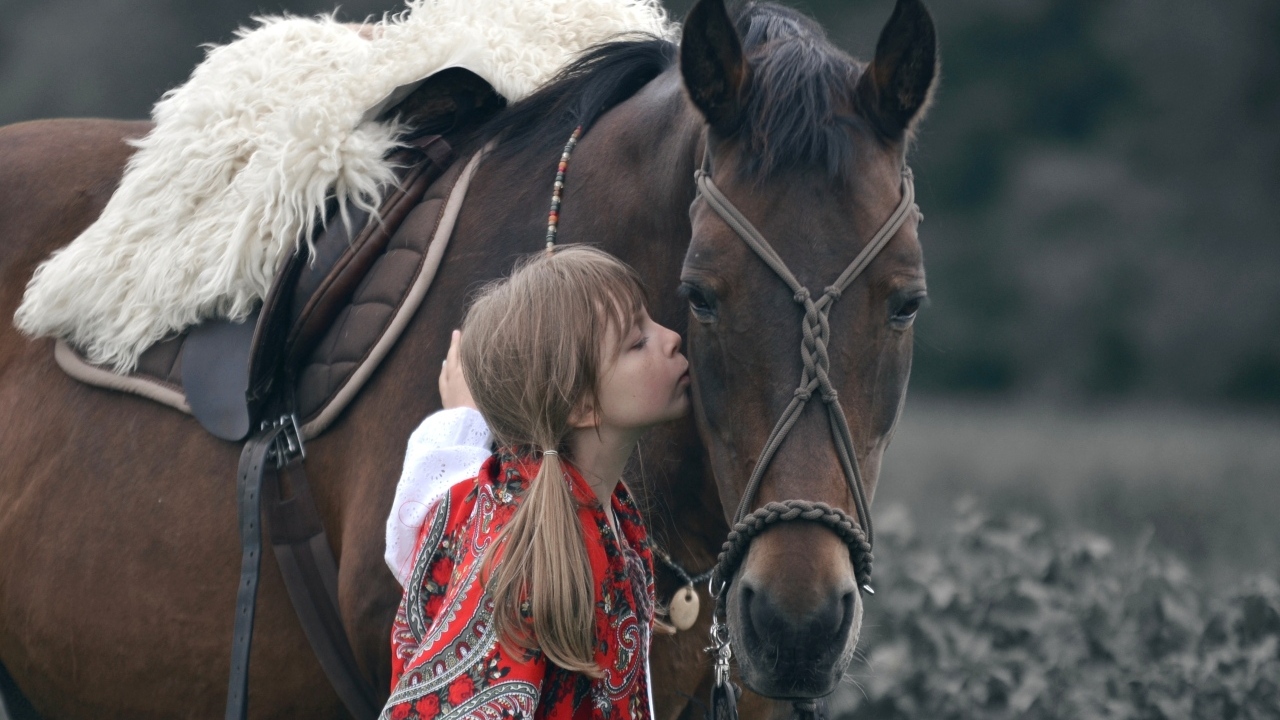 Девочка с большим коричневым конем