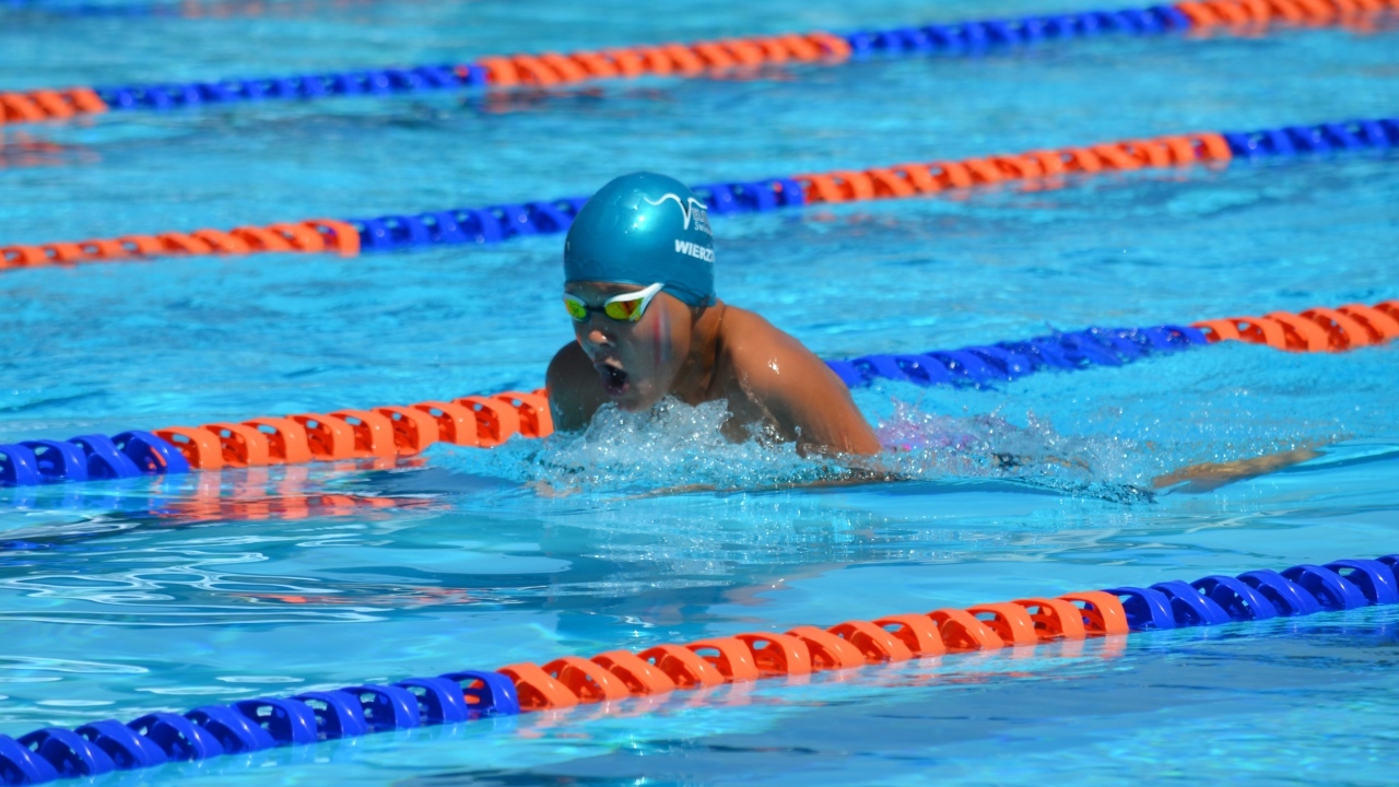 Маленький мальчик пловец в бассейне