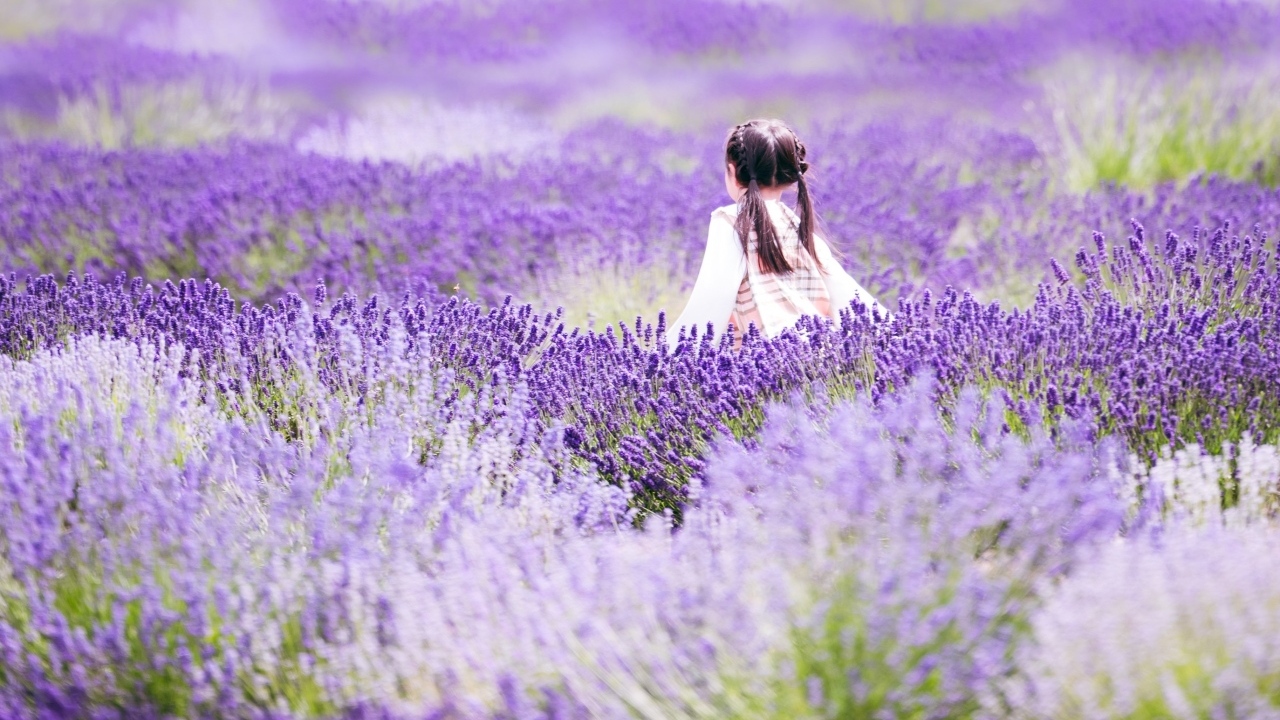 Маленькая девочка гуляет по лавандовому полю