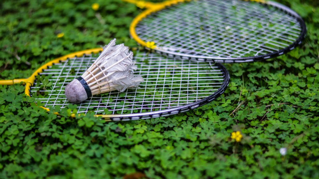 Две ракетки и воланчик на покрытой клевером земле