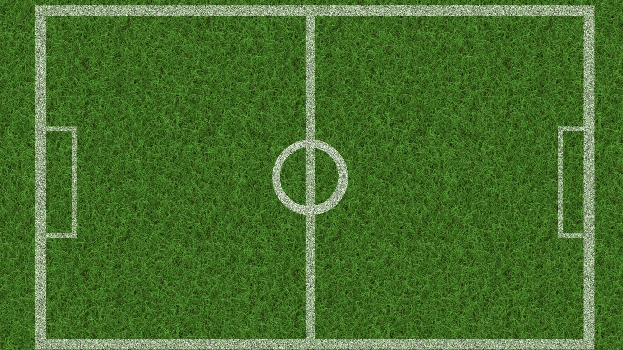 Поле расчерчено белыми линиями на зеленой траве