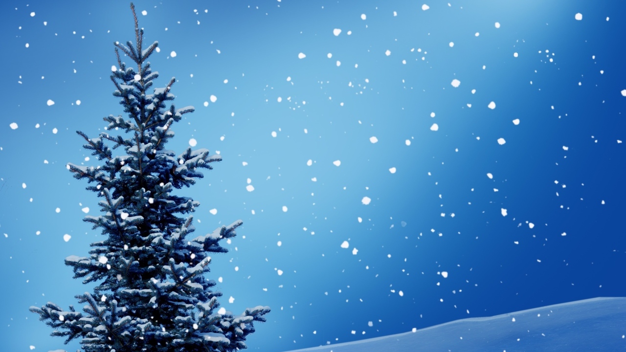 Зеленая ель на голубом фоне со снегом, шаблон для открытки