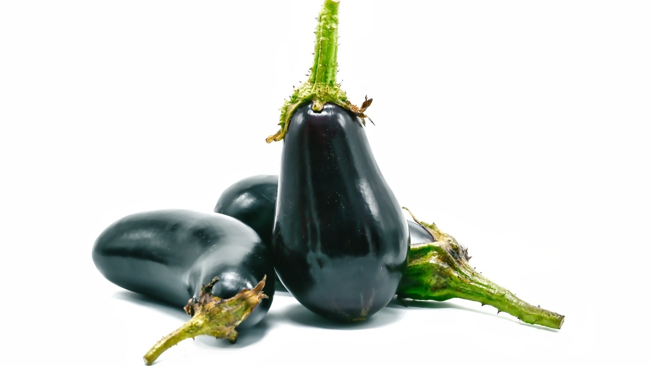 Синие баклажаны на белом фоне