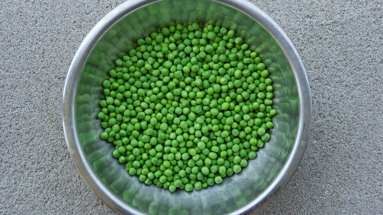 Зеленый горошек в жестяной миске на столе