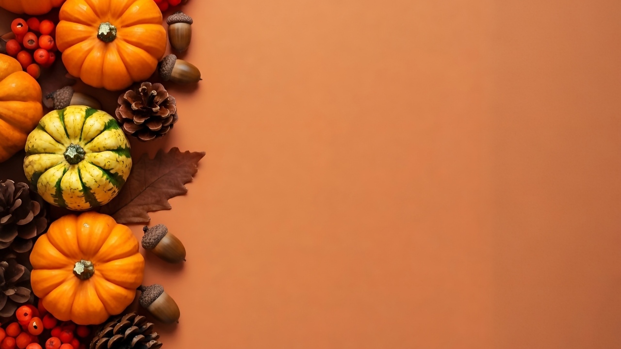 Тыквы с шишками на оранжевом фоне