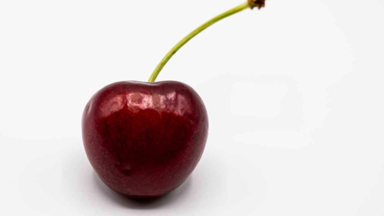 Крупная красная черешня на белом фоне