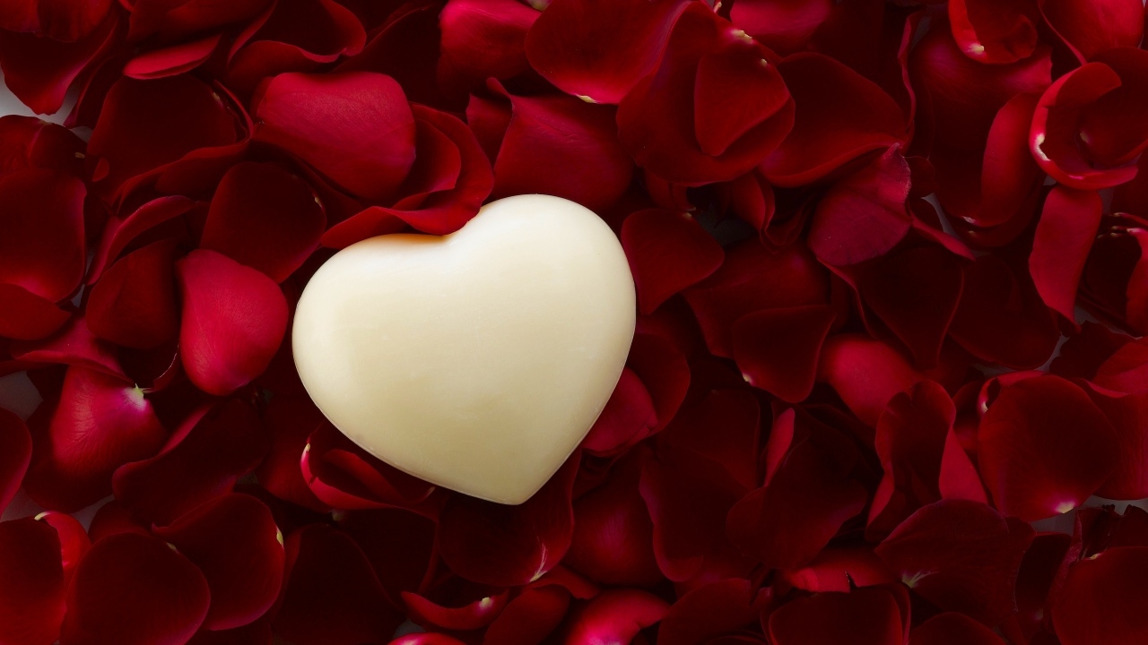 Белое сердце на красных лепестках розы