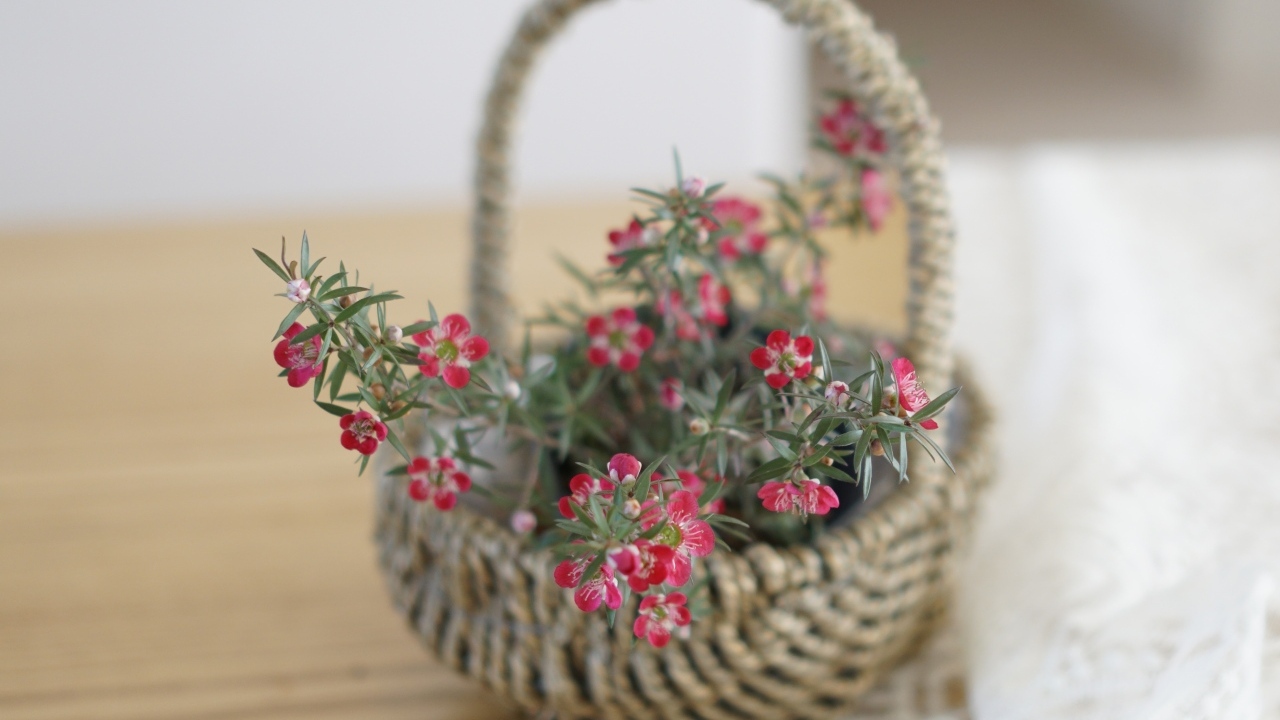 Корзина с цветами на столе