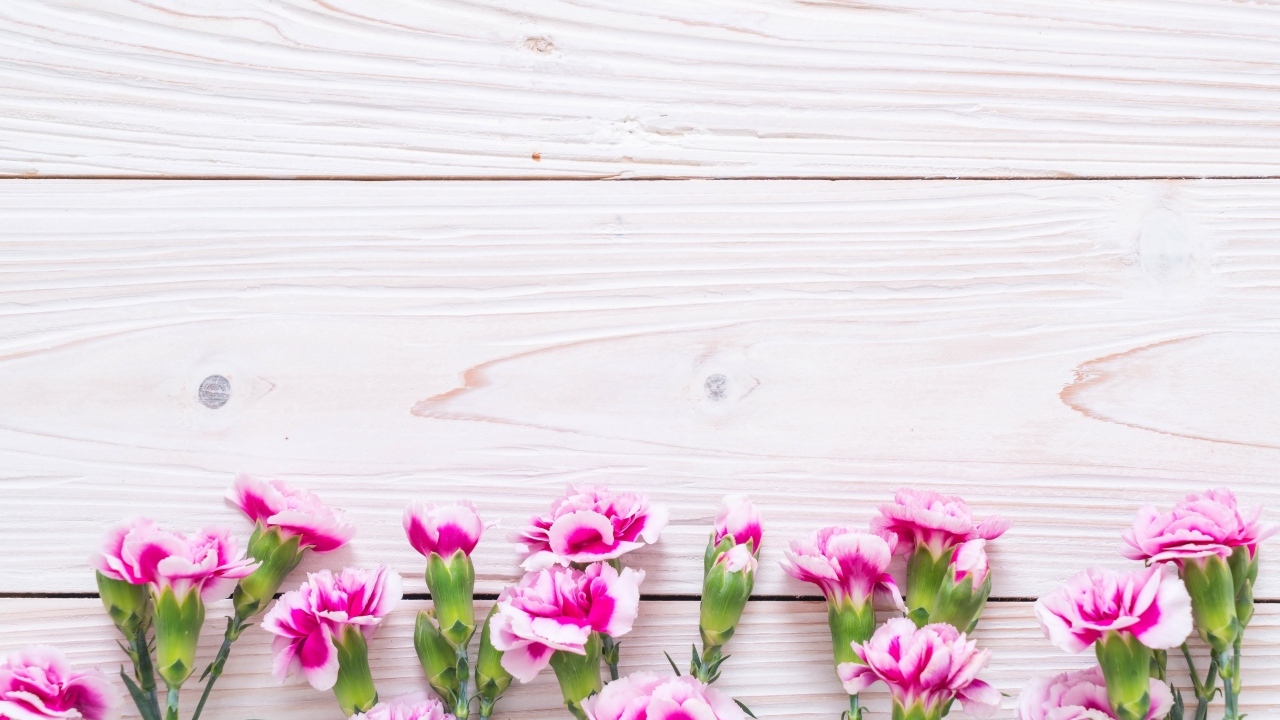 Много розовых цветов гвоздики на деревянном фоне