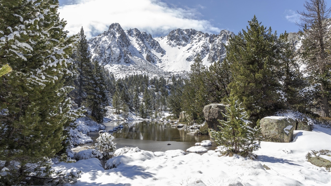 Озеро у покрытых снегом гор в зимнем лесу