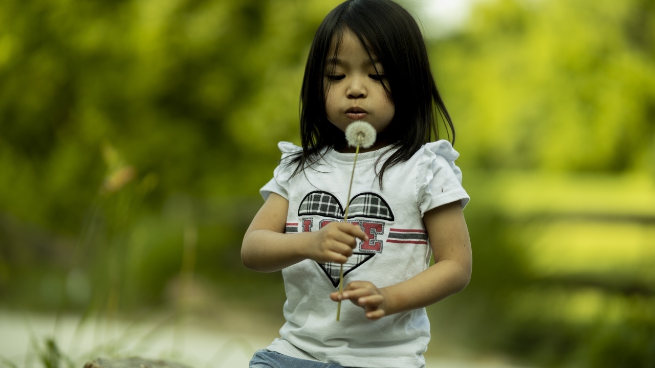 Маленькая девочка азиатка с одуванчиком в руках