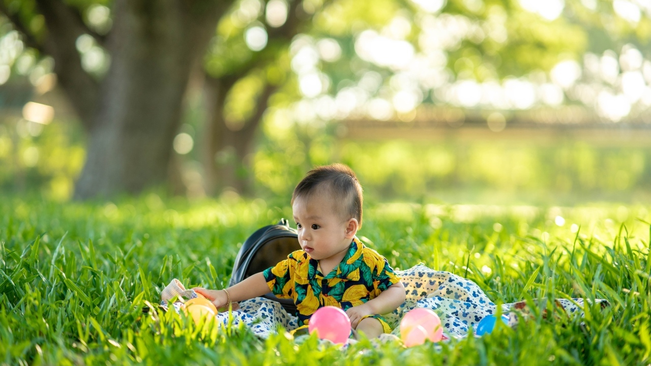 Маленький мальчик с игрушками в зеленой траве