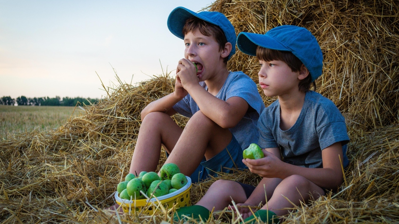 Два маленьких мальчика с зелеными яблоками у стога сена
