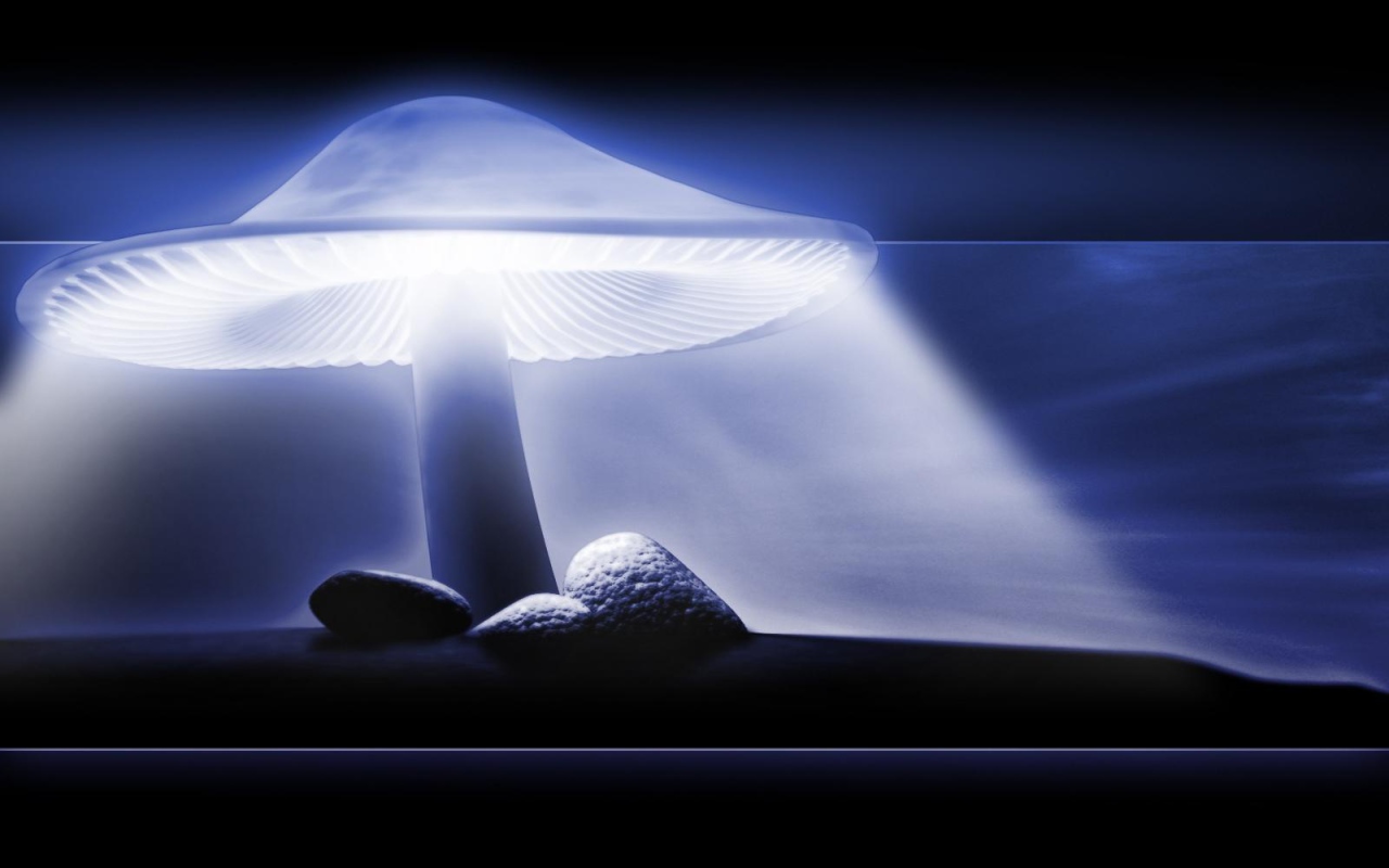 Защитный свет