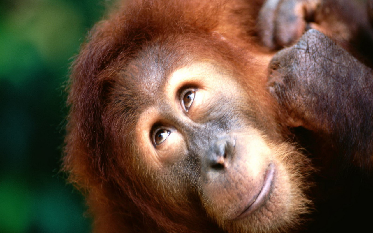 Взгляд вверх