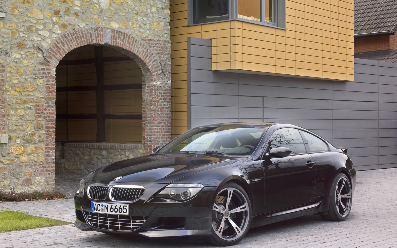 Schnitzer 2006 Вид спереди