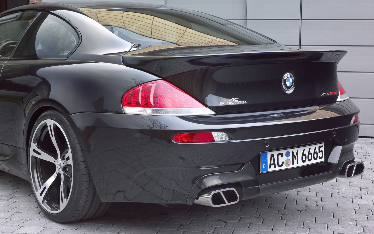 Schnitzer 2006 Вид сзади