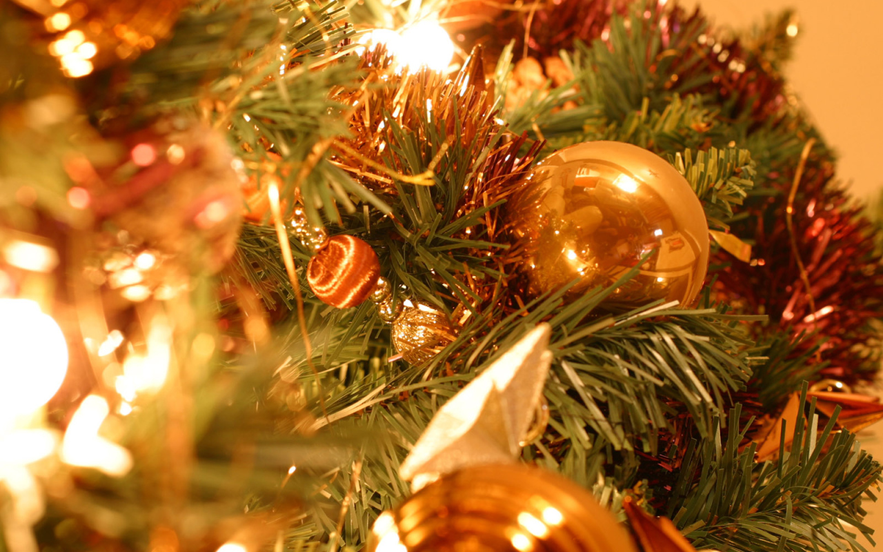 Дух Рождества / Рождество