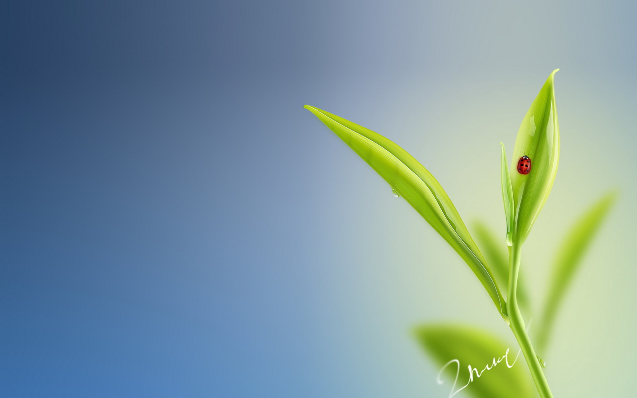 Божья коровка