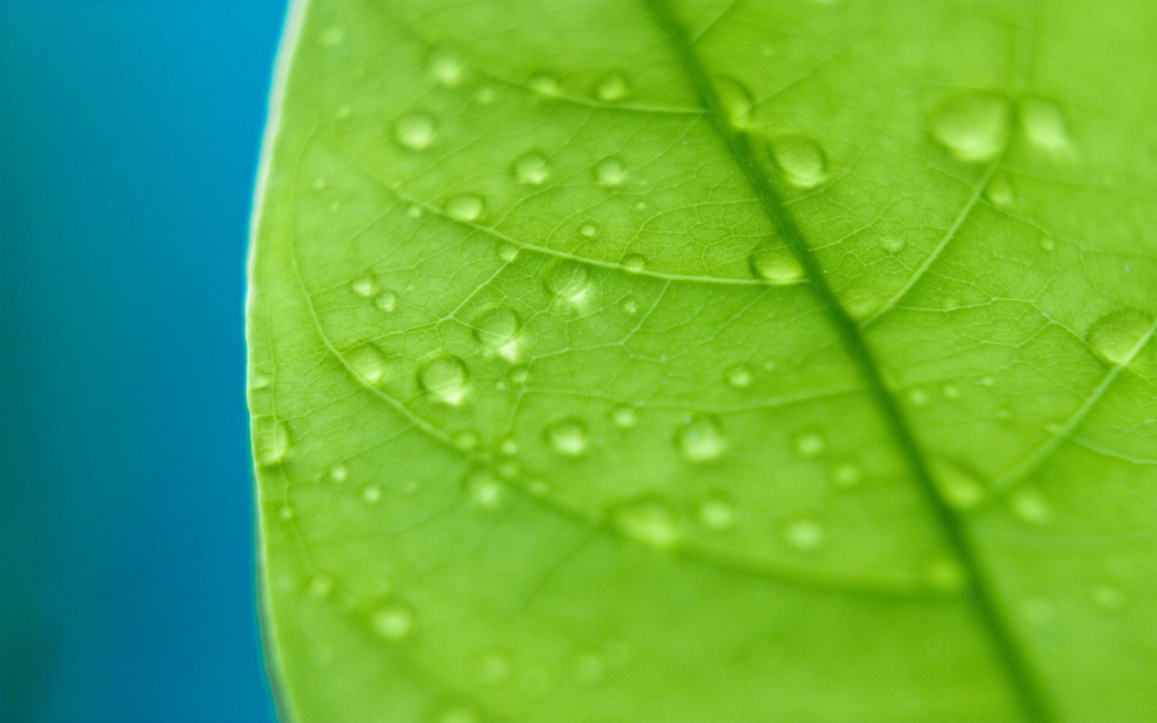 Сбор капель