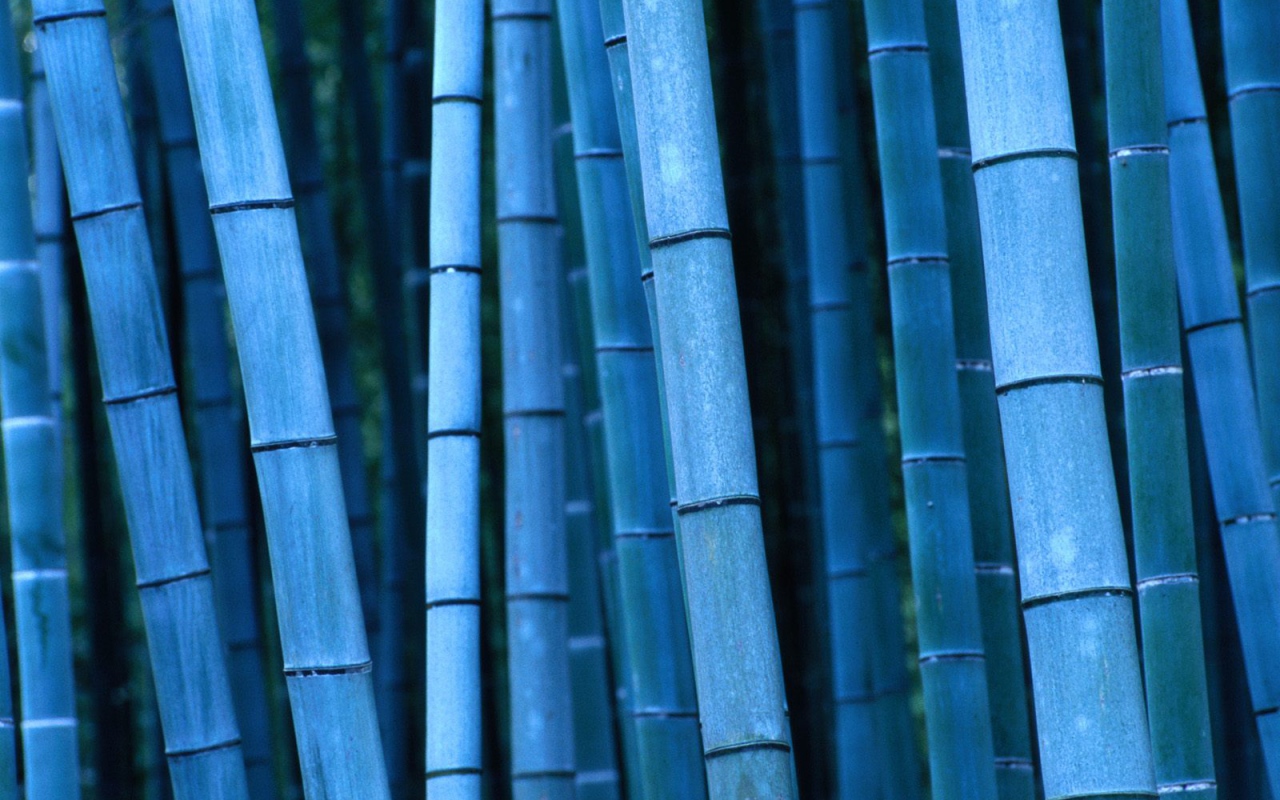 Синий бамбук