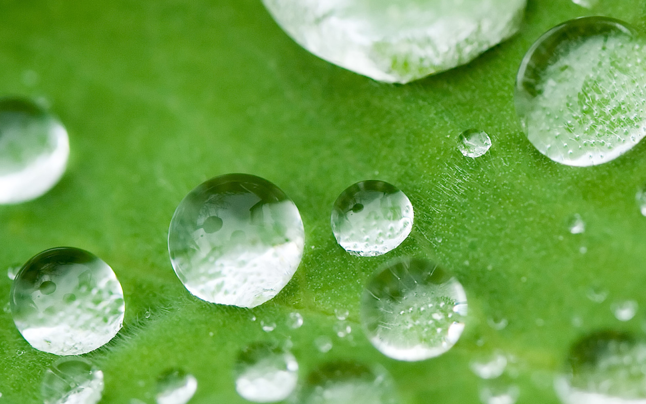 Маленькие водные капли