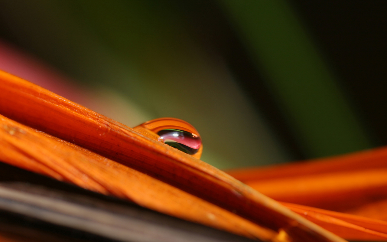 Гладкое Скольжение