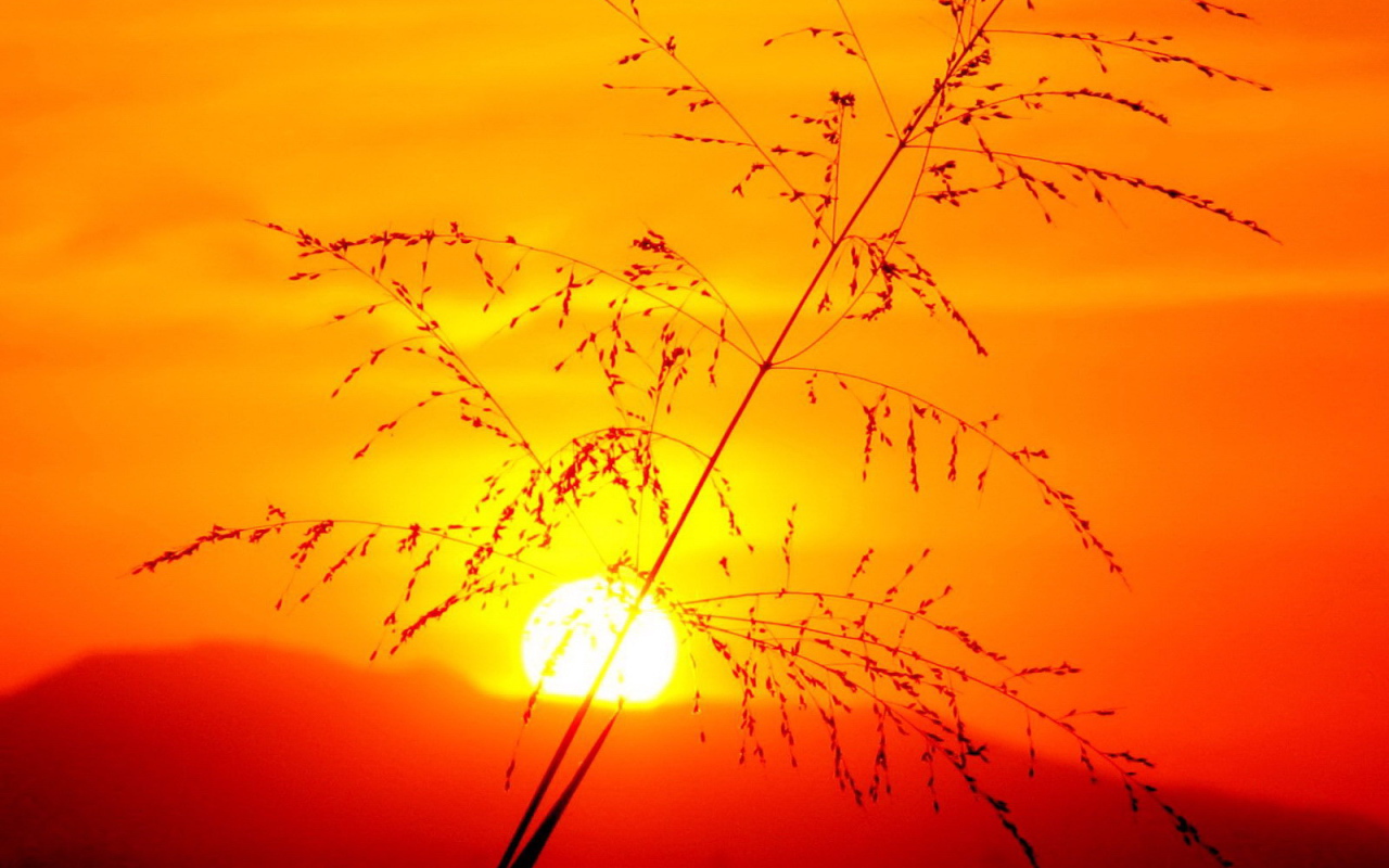 Красивый закат