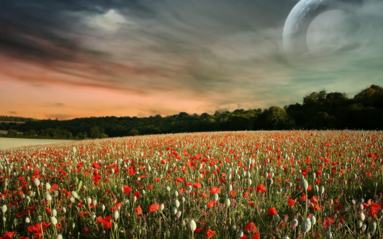 Паралельный мир