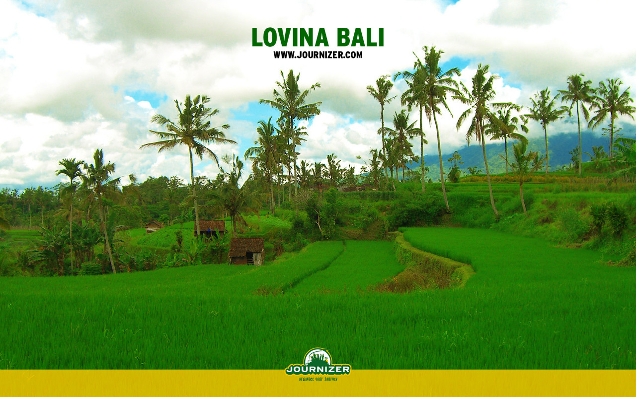 Lovina Бали
