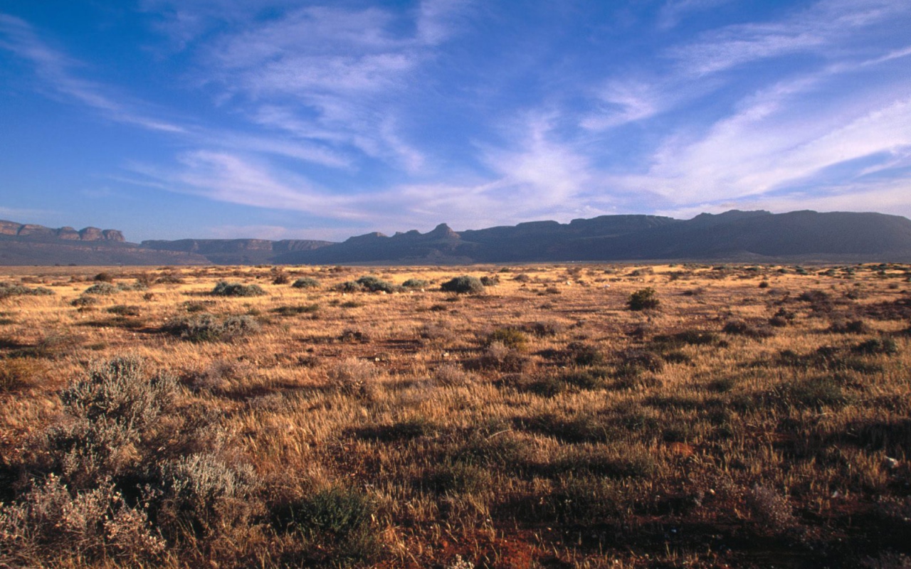 Karoo - Кару / Африка