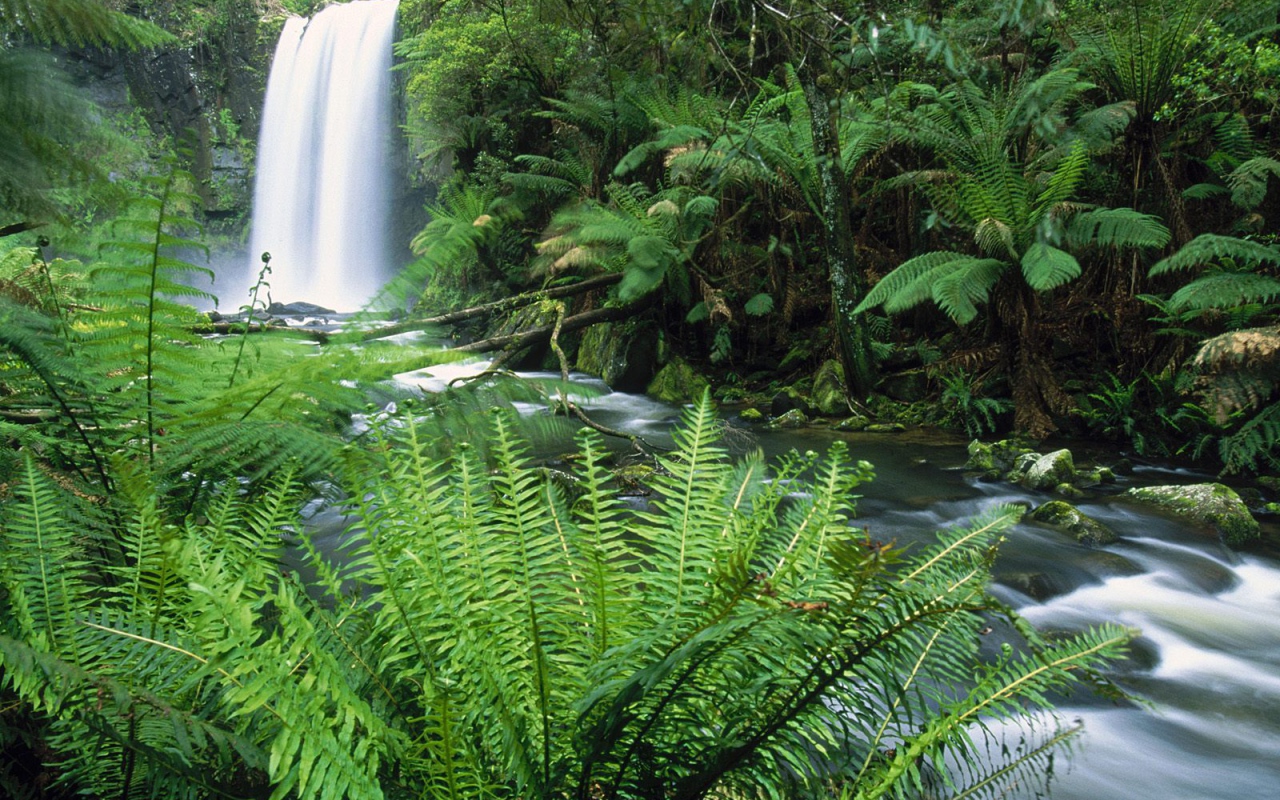 Водопады Хопетон / Местечко Отвэй / Виктория / Австралия