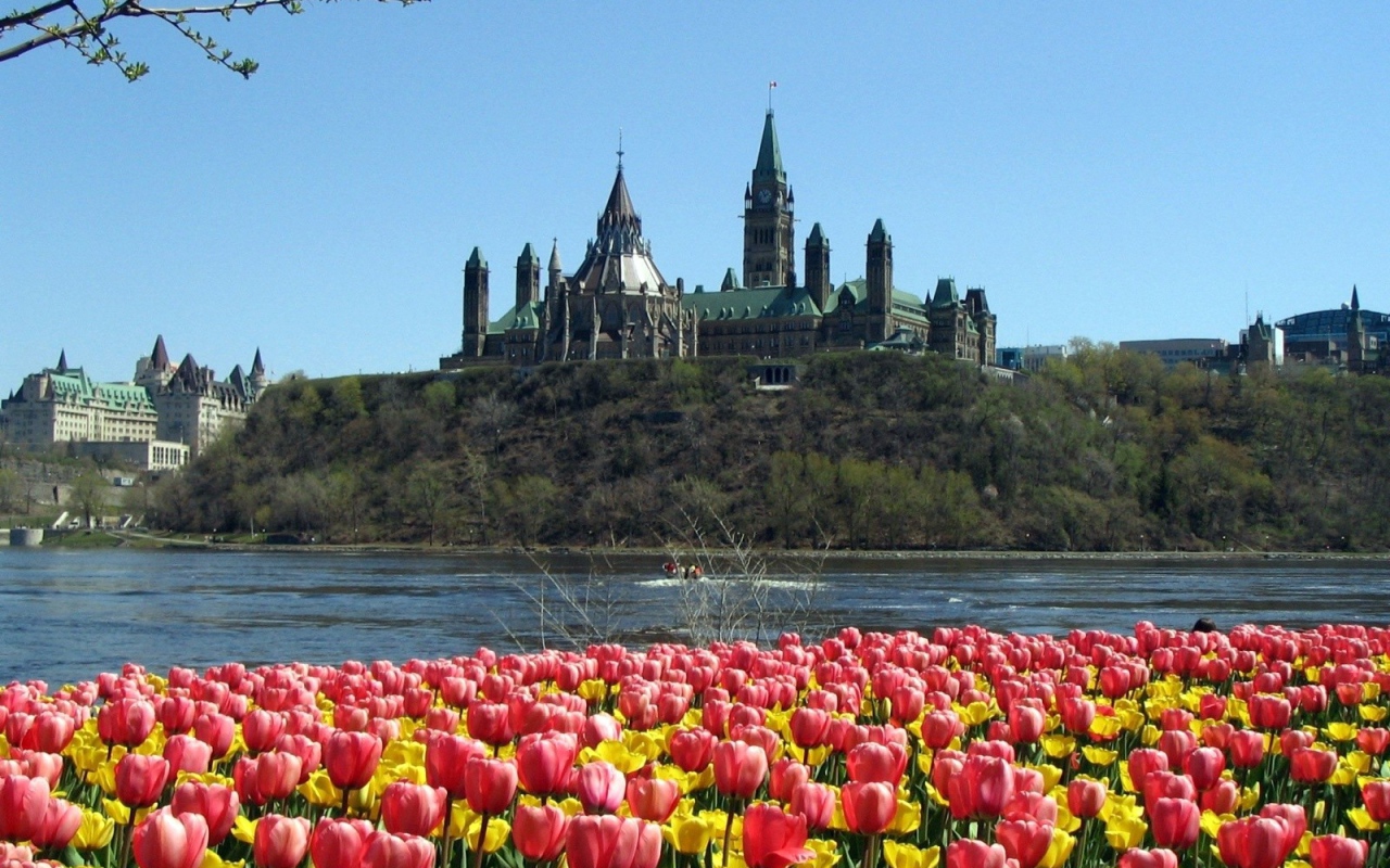 Парламентский холм