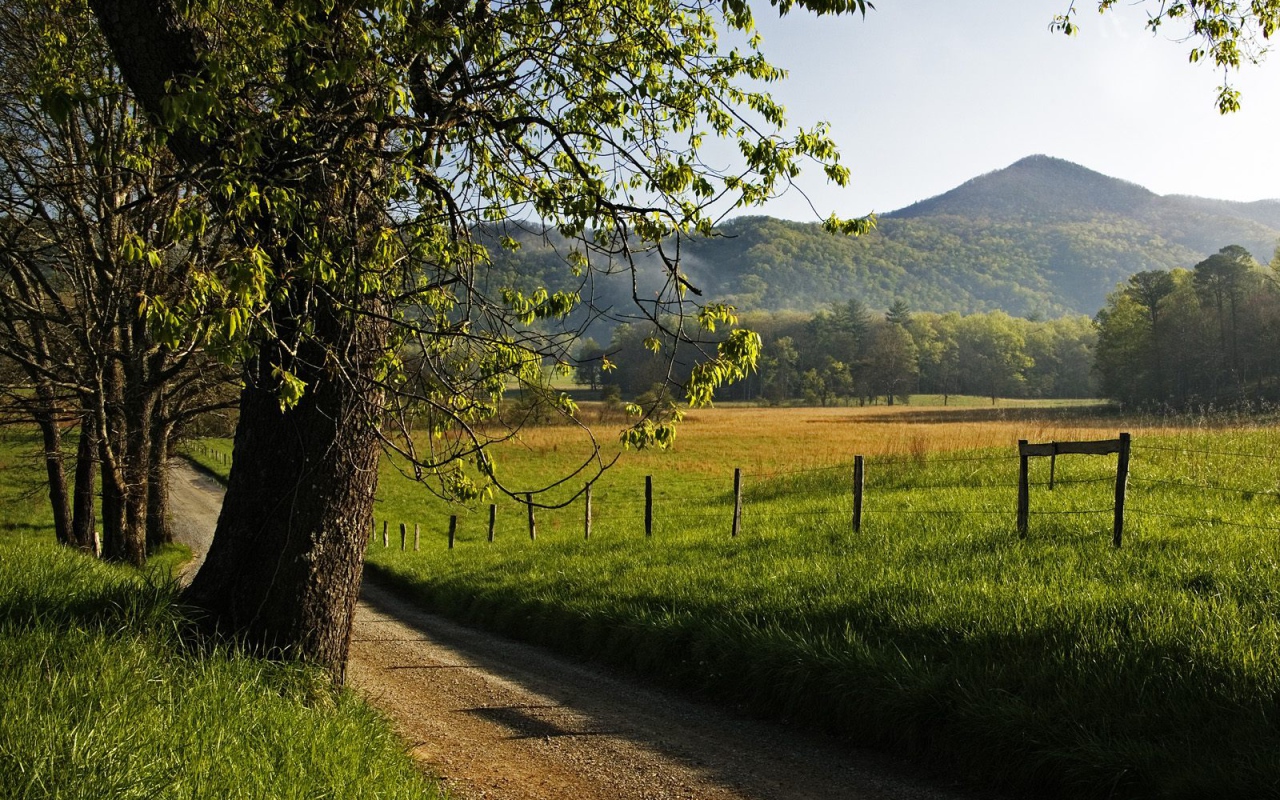 Переулок Hyatt, США