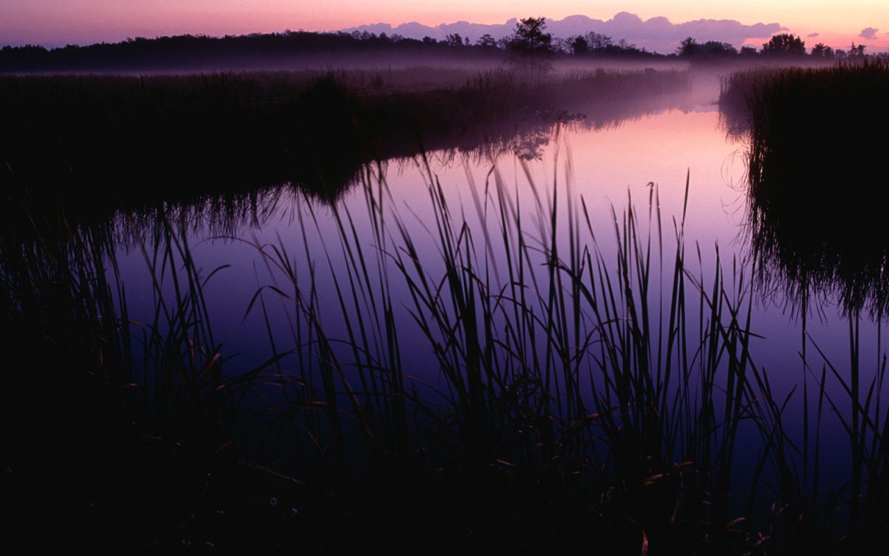 Закат в Убежище, США