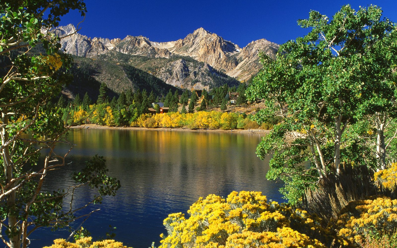 Озера Близнеца / Toiyabe Национальный Лес / Калифорния / США