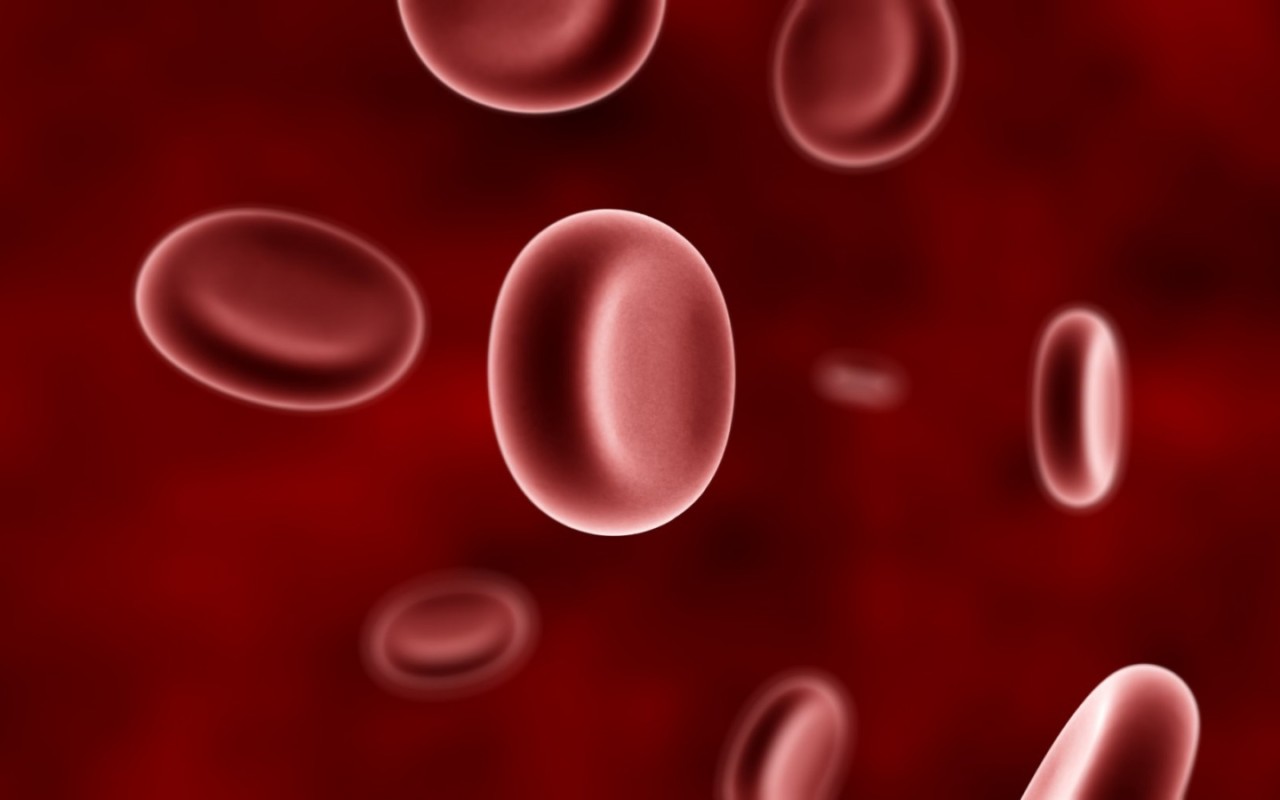 Эритроциты