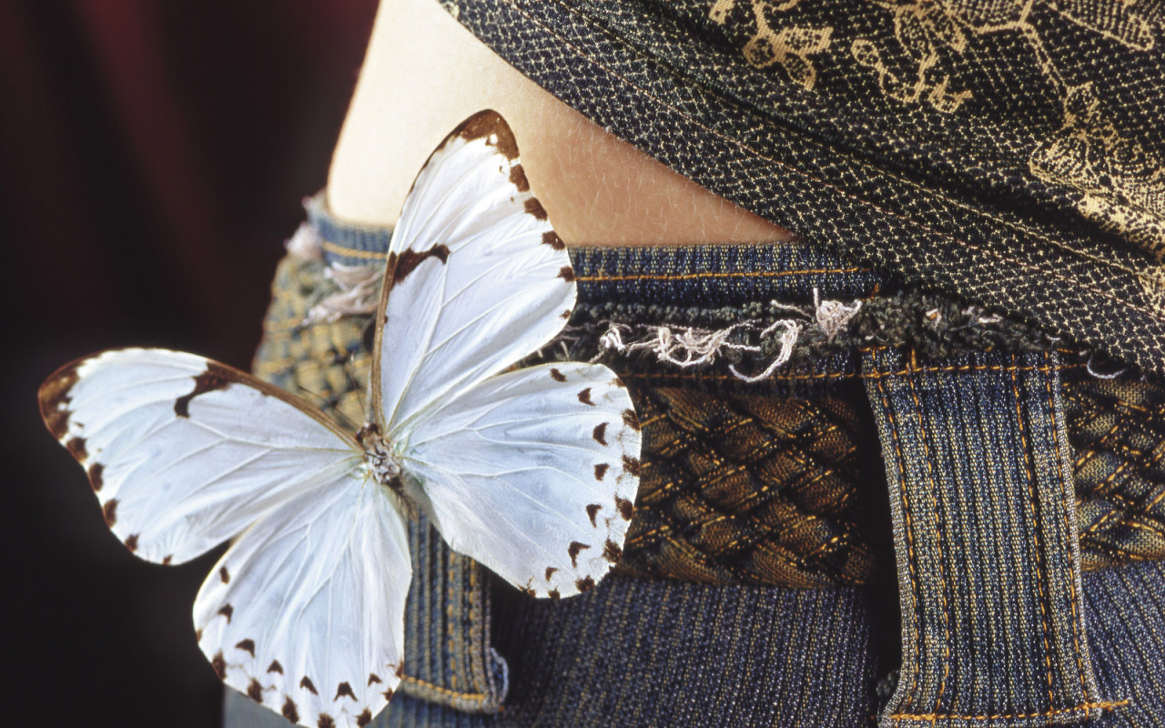 Бабочка на бедрах
