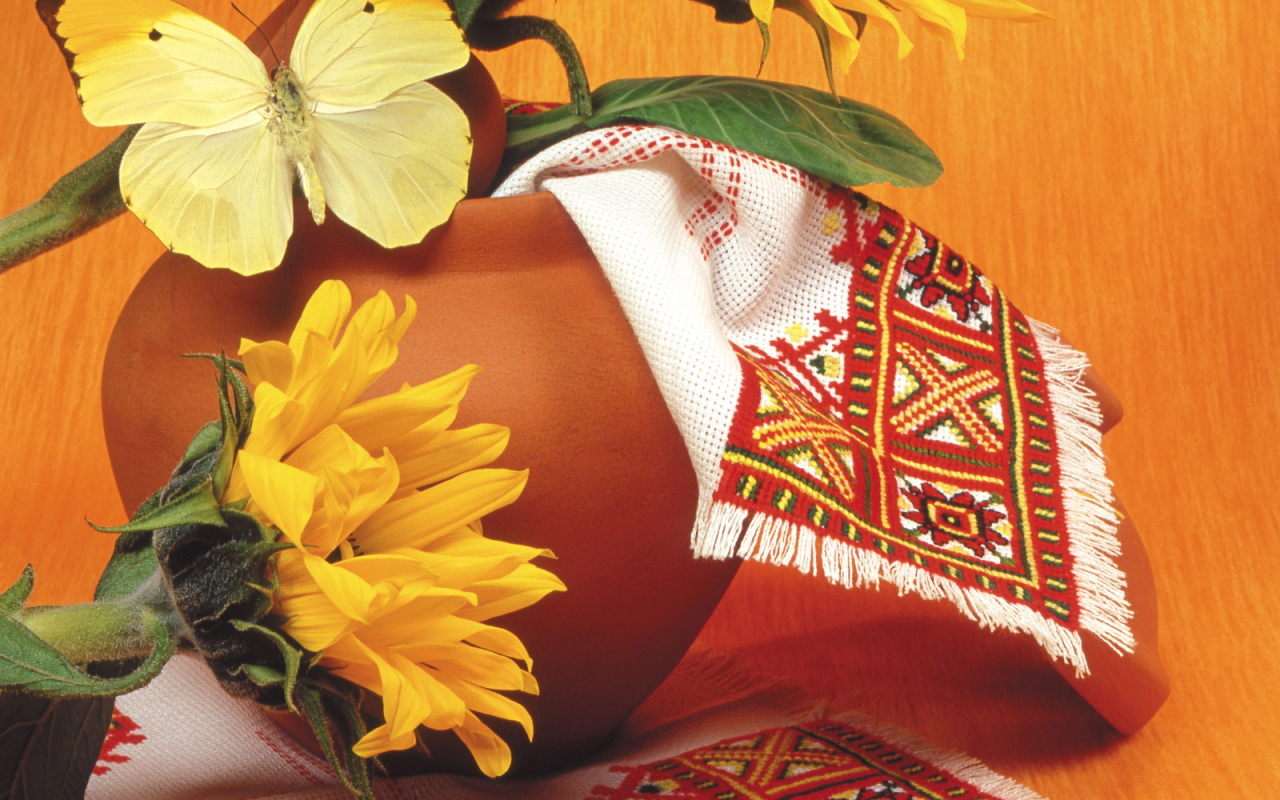 Красивая желтая бабочка на горшке