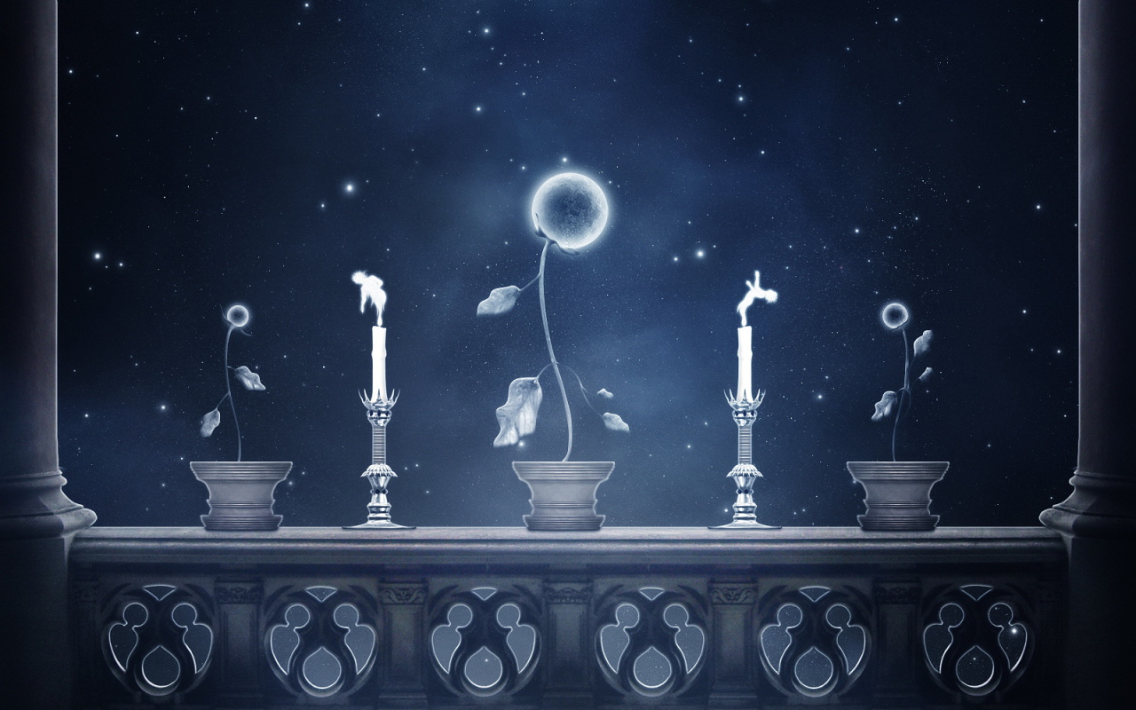 Небесные цветы