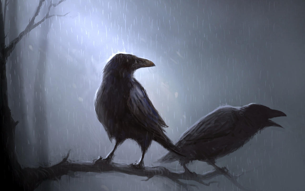 Вороны под дождем