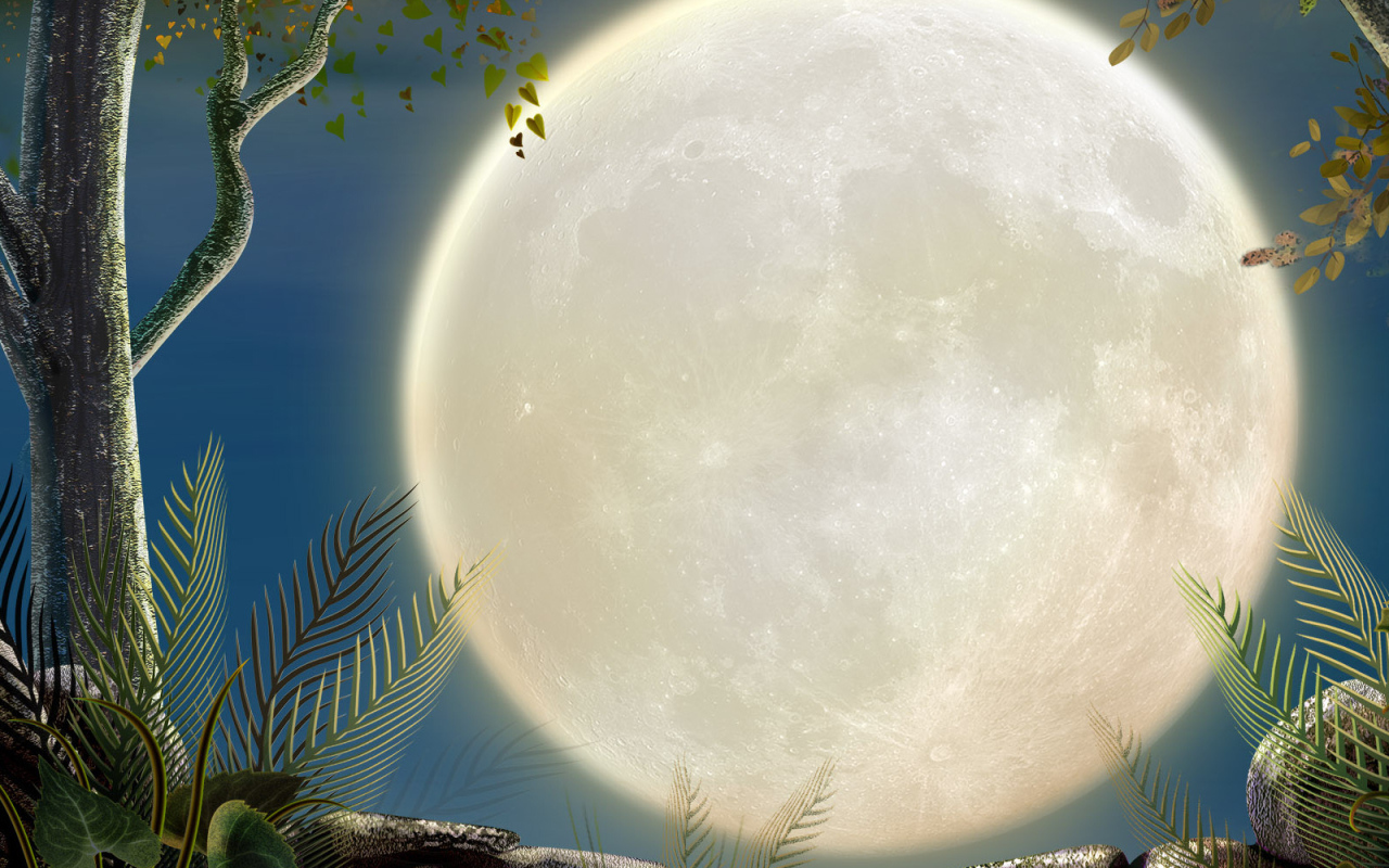 Полная луна