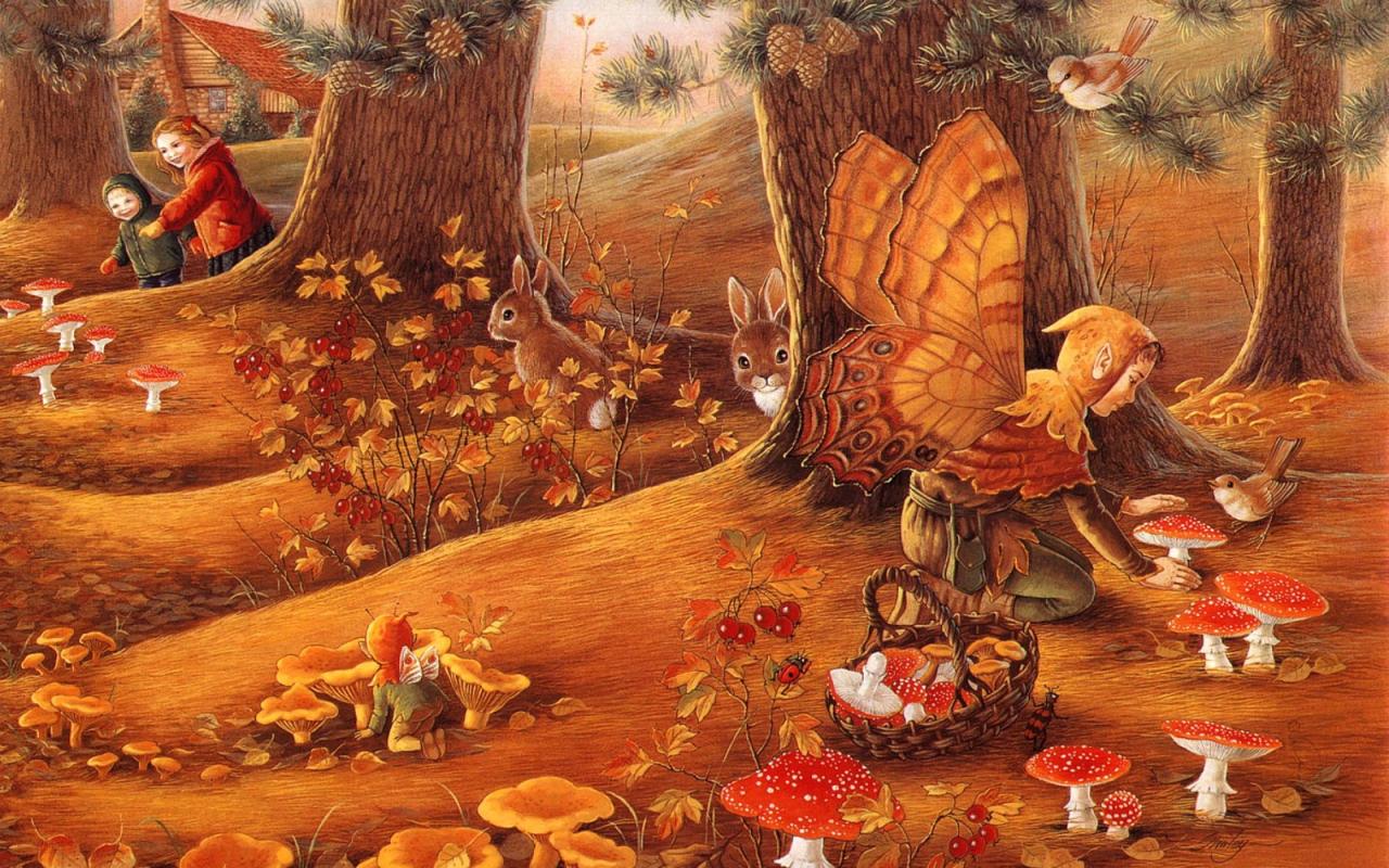 Веселые грибы