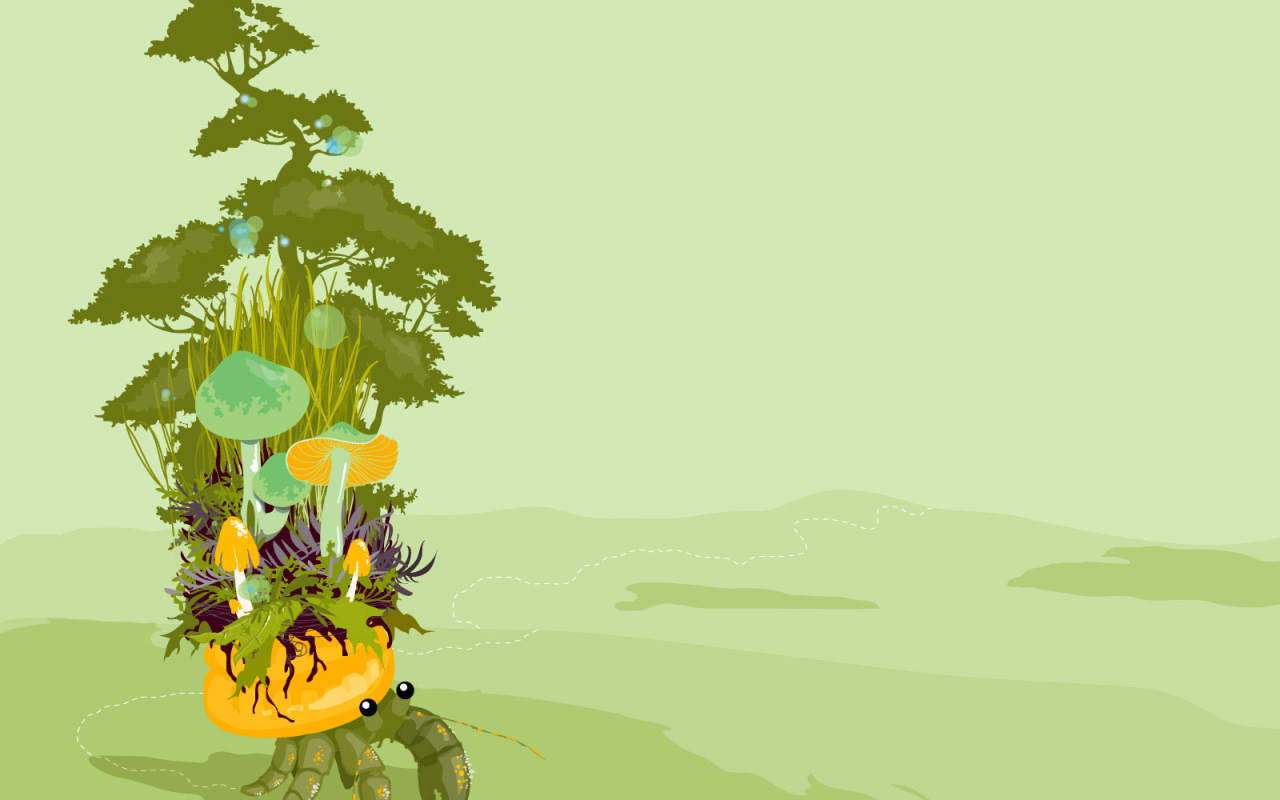 Грибы  на панцире