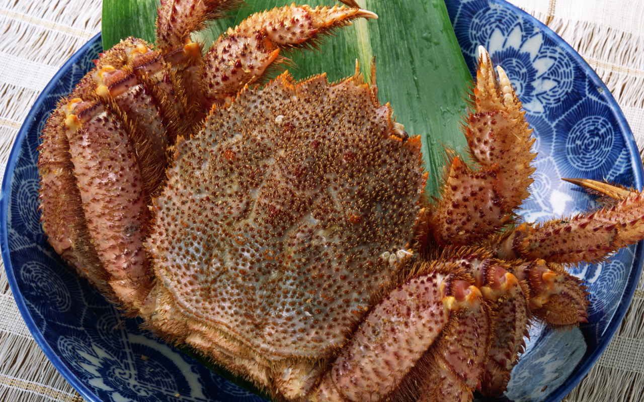 Колючий краб