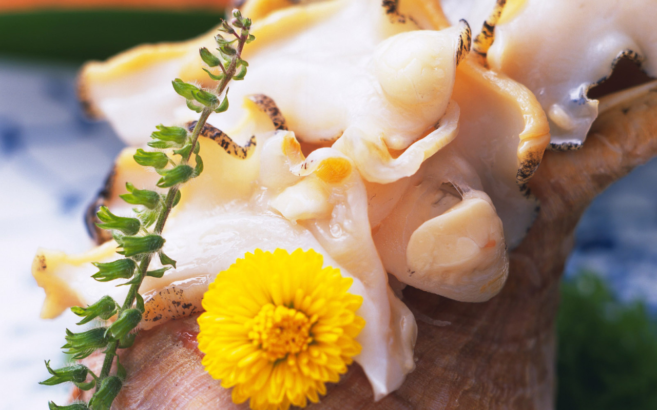 вкусный кальмар