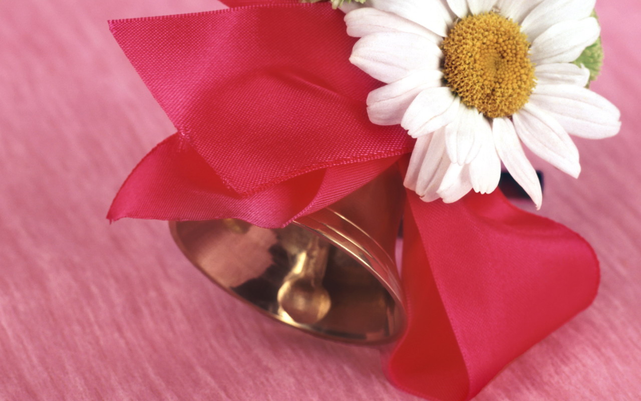 Начало учебы